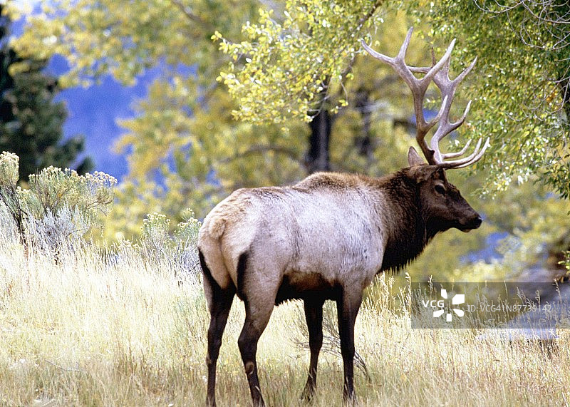 24119991图片素材