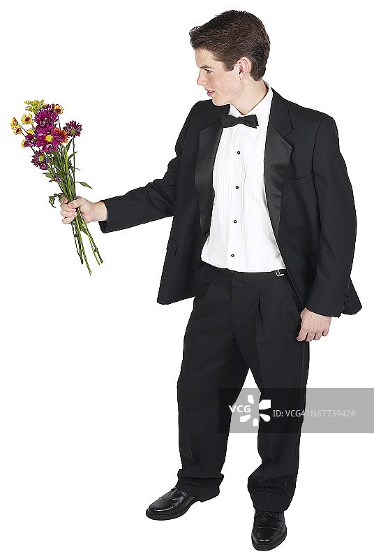 23641403图片素材