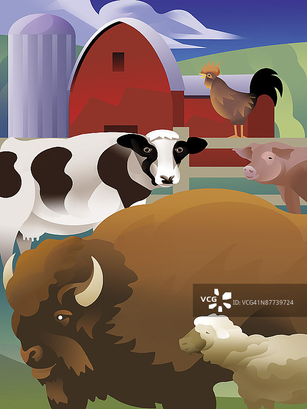 牛在农场吃草的奶牛图片素材