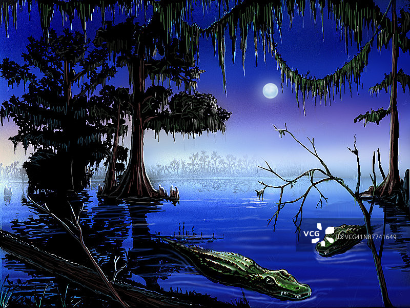 湖边的树顶着天空图片素材