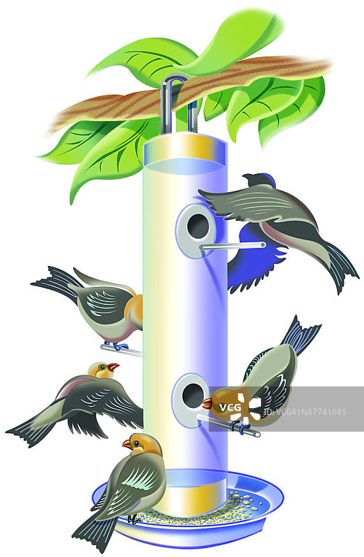 白色背景下的植物特写镜头图片素材