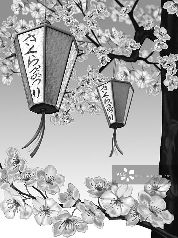 春天的樱花图片素材