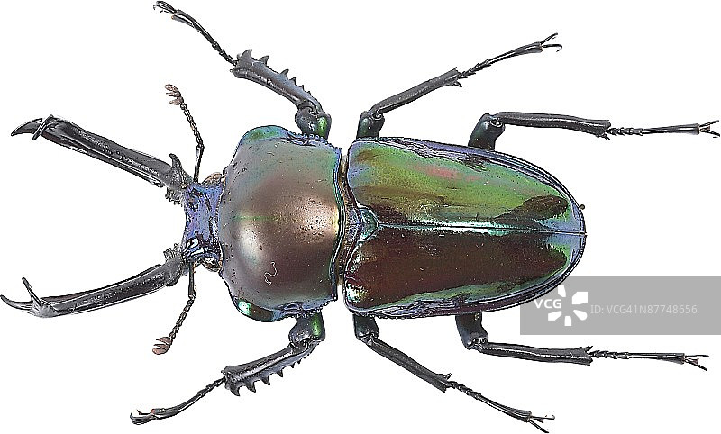 23532981图片素材