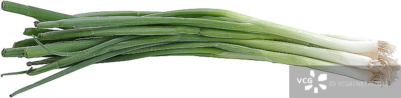 23531036图片素材