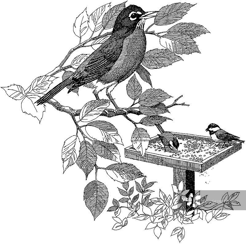 LiquidLibrary图片素材