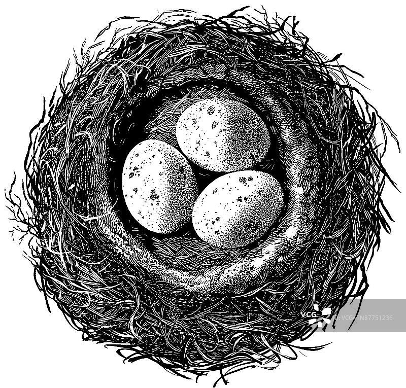 LiquidLibrary图片素材