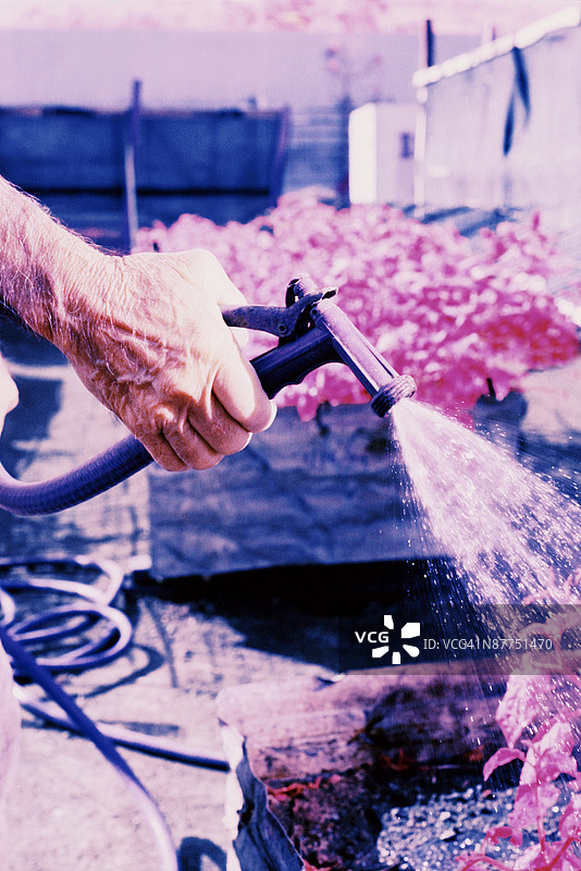 男人在浇花图片素材