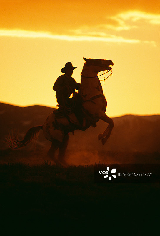 牛仔骑在烈马上图片素材
