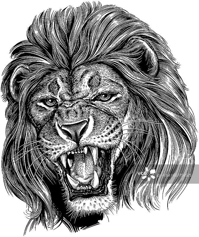 LiquidLibrary图片素材