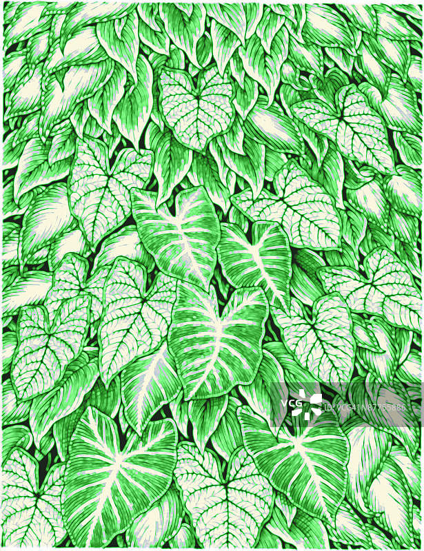 LiquidLibrary图片素材