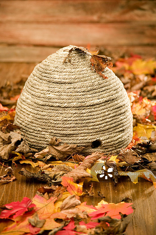 蜂箱和落叶图片素材