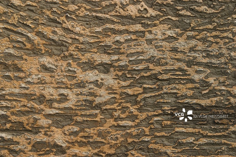 24073366图片素材