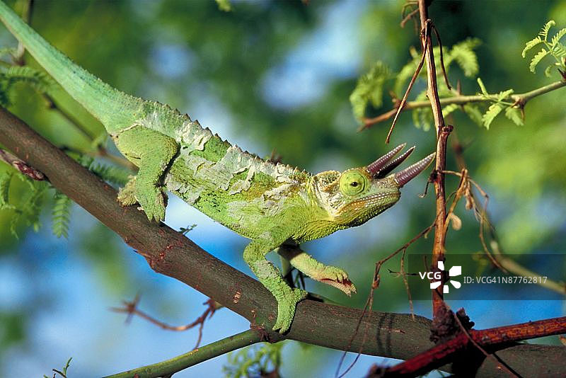 23898165图片素材