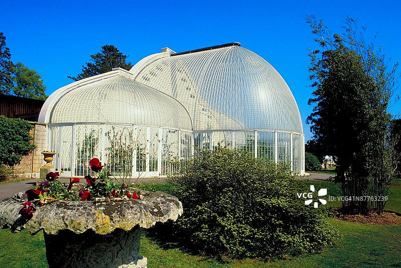 23898443图片素材