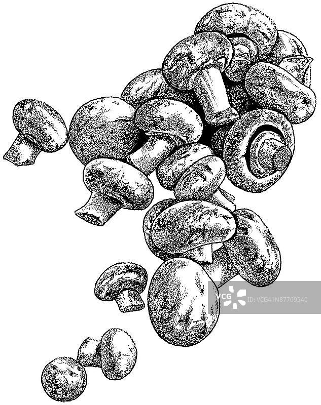 LiquidLibrary图片素材