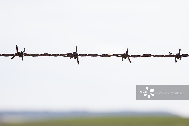地平线上的带刺铁丝网图片素材