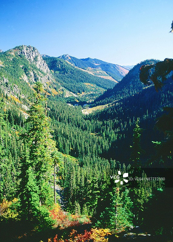 24118265图片素材