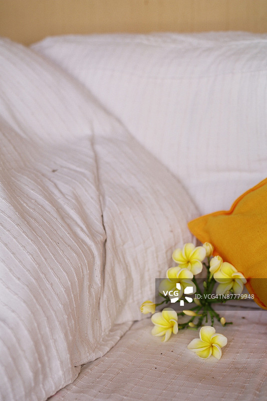 24077966图片素材