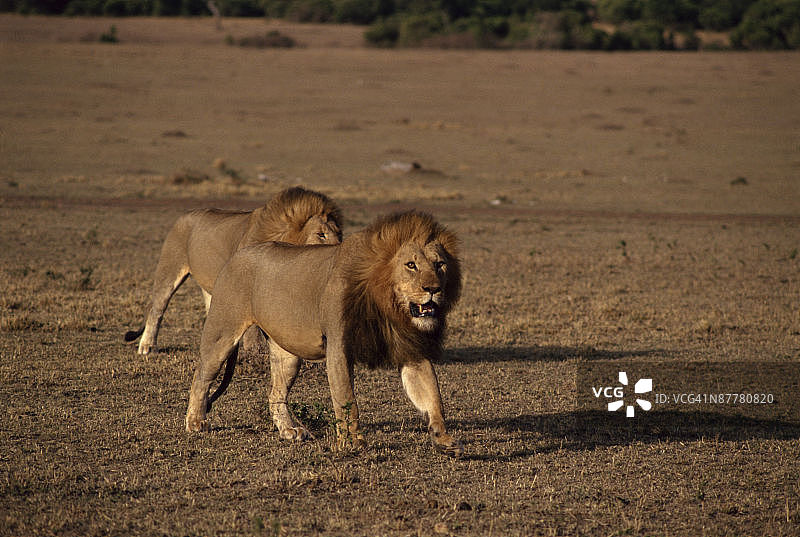 24026918图片素材