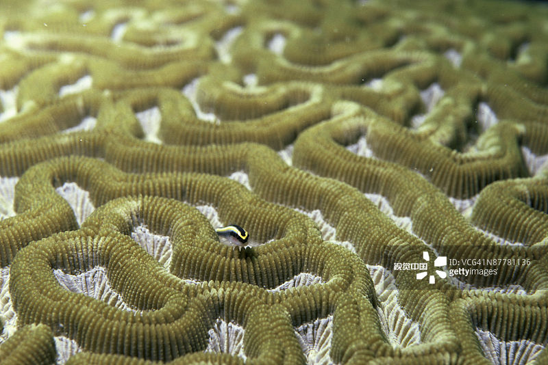 ：（资料）图片素材