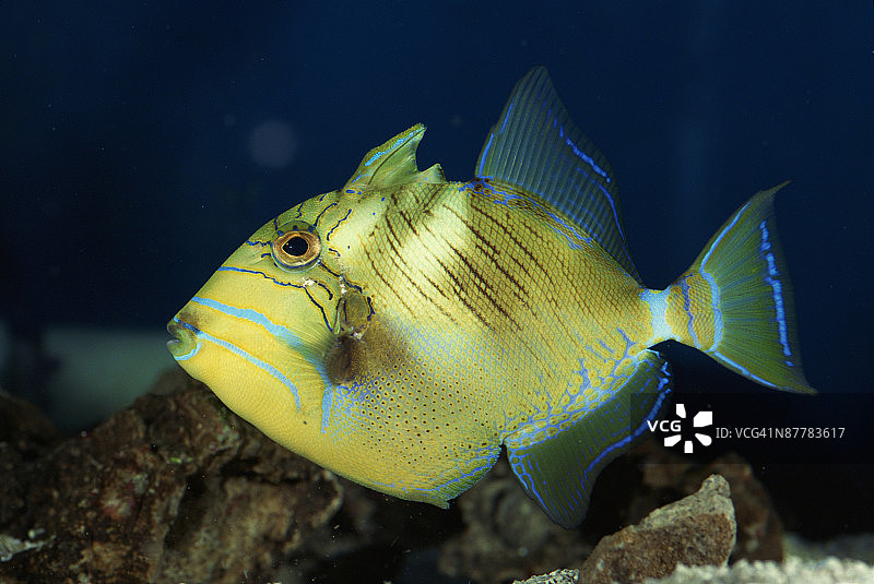 24019221图片素材