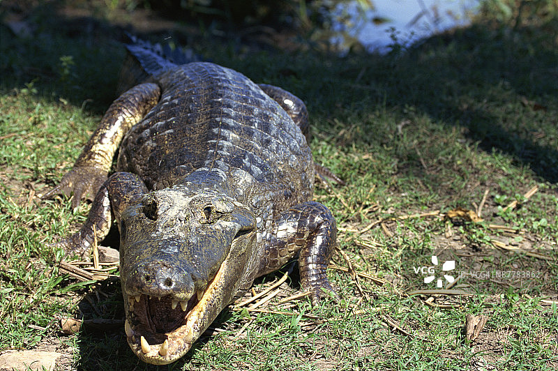 24019336图片素材