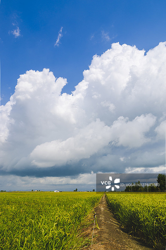 埃布罗河三角洲图片素材
