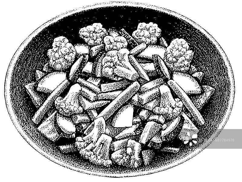 LiquidLibrary图片素材