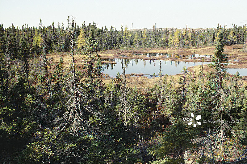 加拿大魁北克省偏远崎岖的荒野图片素材
