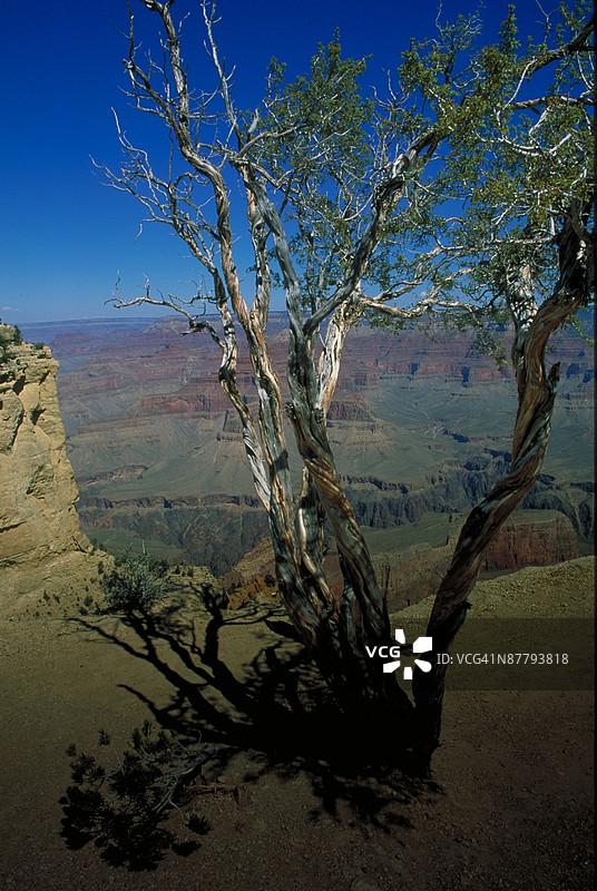 24068238图片素材