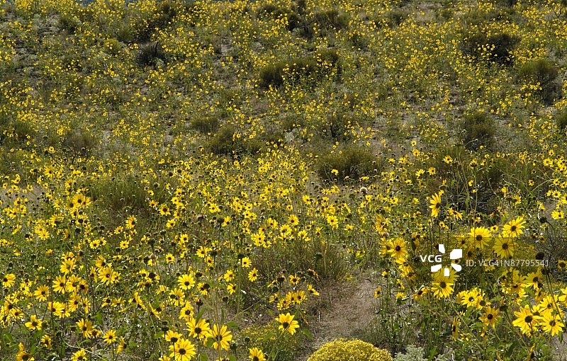 24096126图片素材