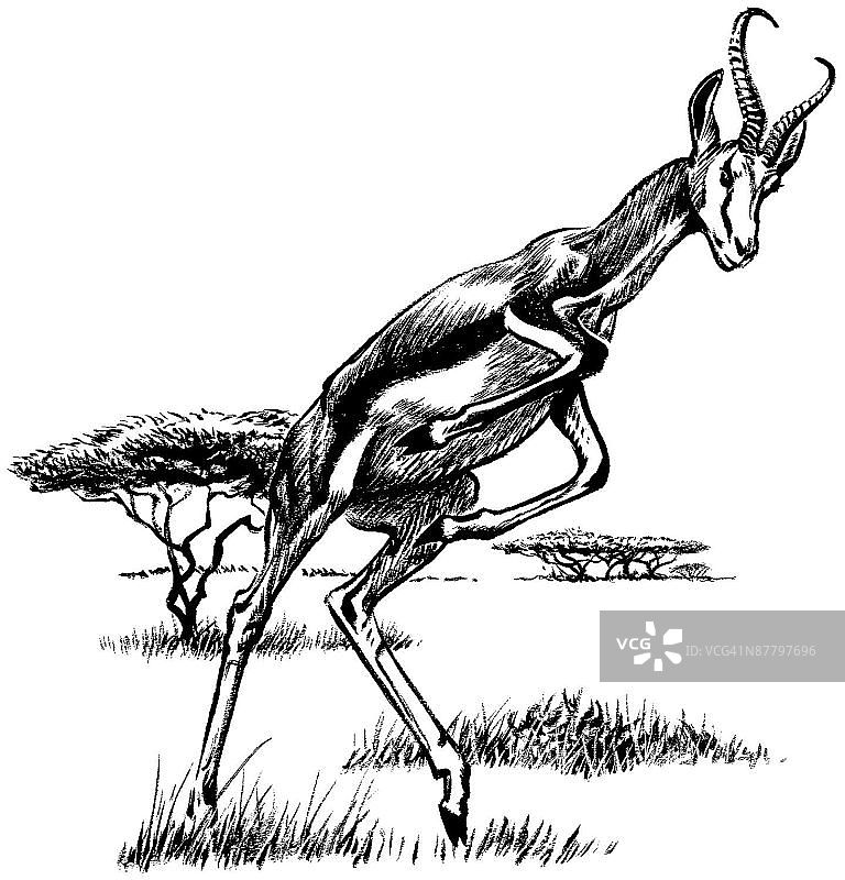 LiquidLibrary图片素材