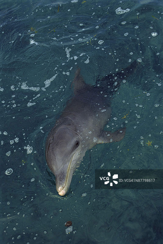 24026853图片素材