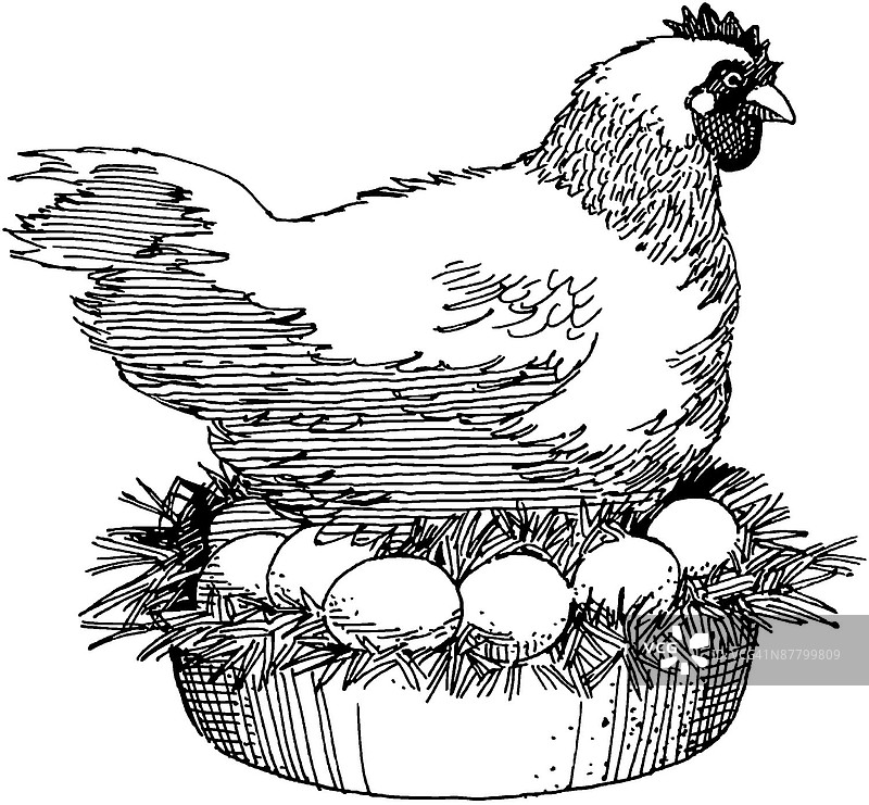 黑白线条画图片素材