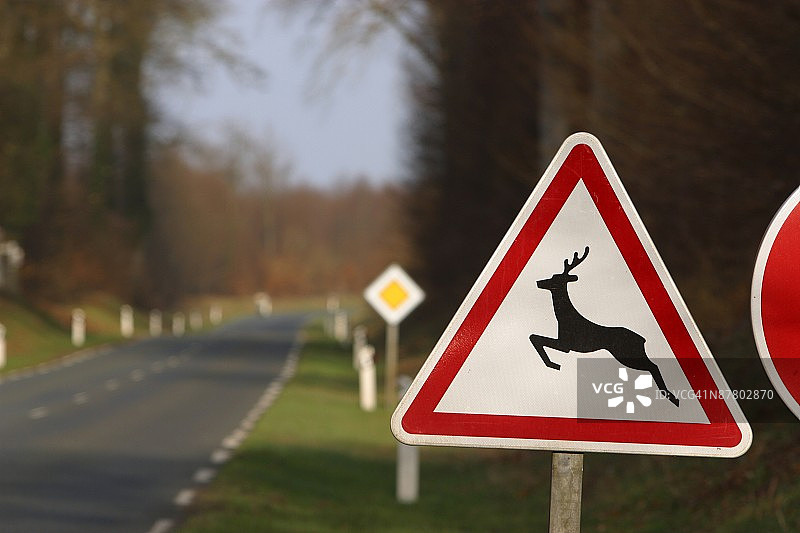 24068908图片素材