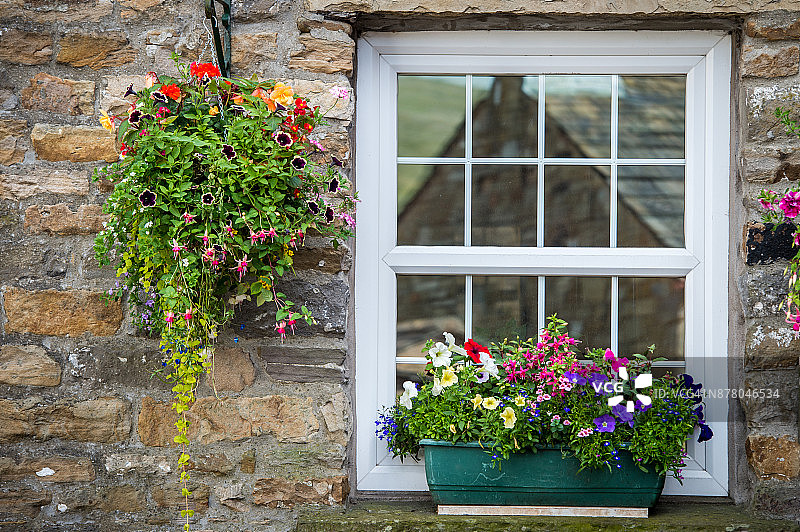 窗边的花朵图片素材