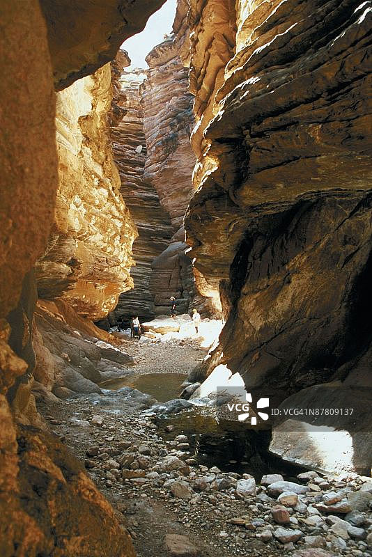 23901515图片素材