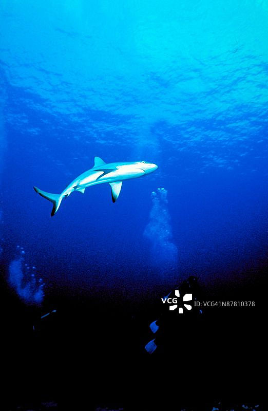 23898084图片素材