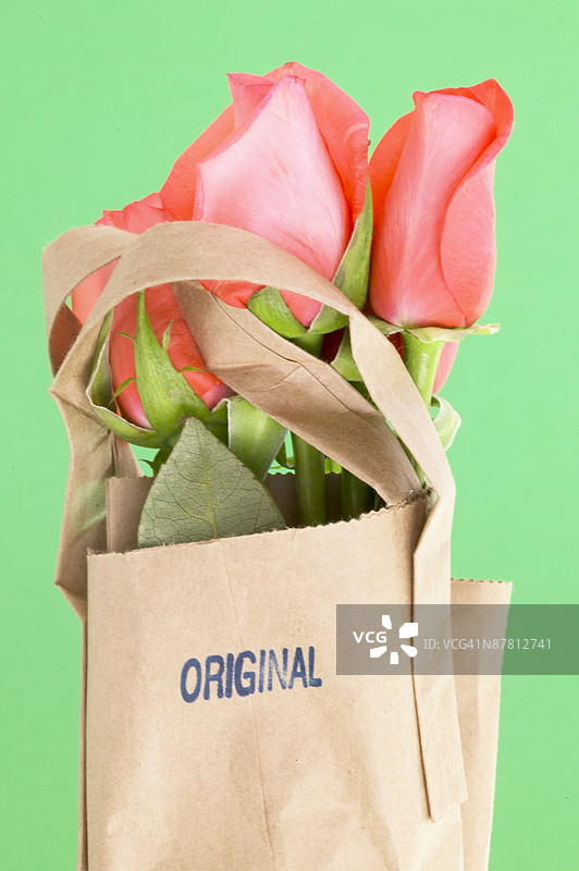 24138120图片素材