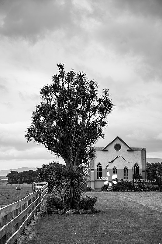 怀荣戈迈诸圣圣公会教堂与棕榈树图片素材