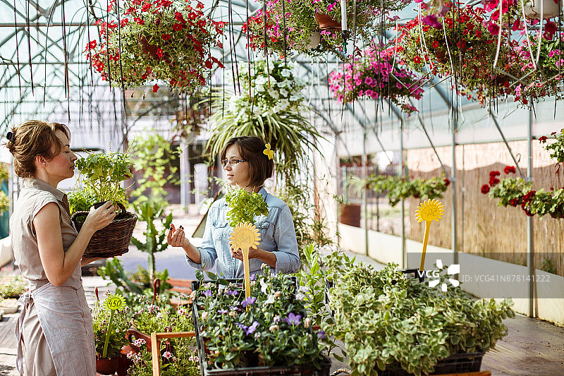 花店的丰收季图片素材