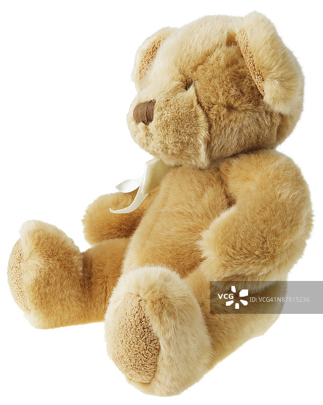 泰迪熊图片素材