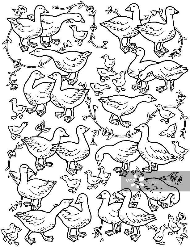 LiquidLibrary图片素材