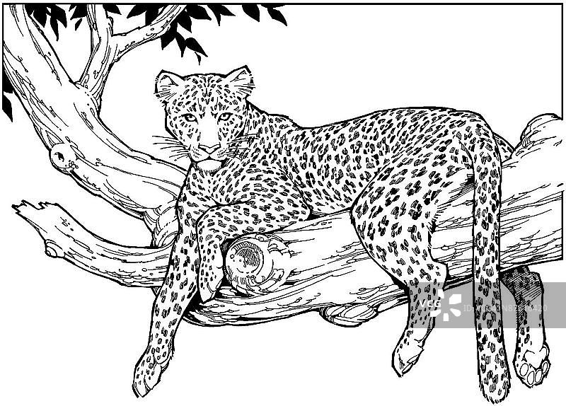 LiquidLibrary图片素材