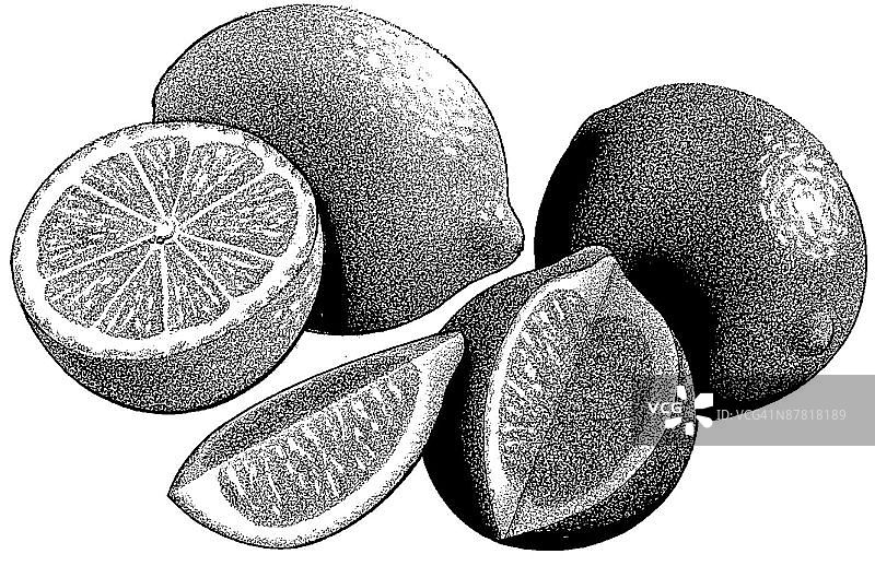 LiquidLibrary图片素材