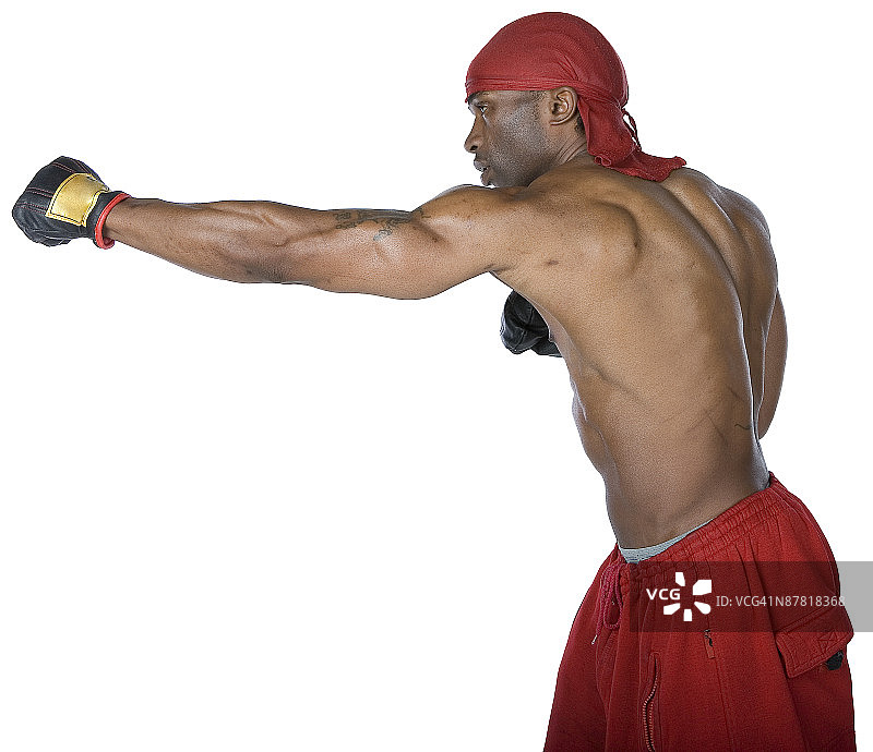 23556042图片素材