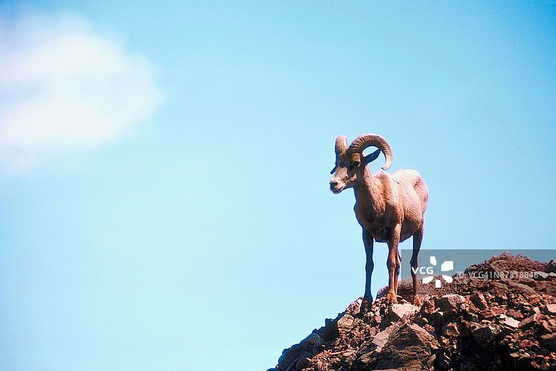 23872758图片素材