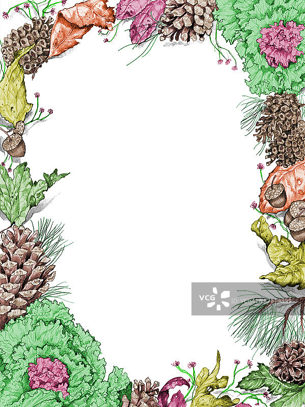 正上方白色背景的圣诞装饰照片图片素材