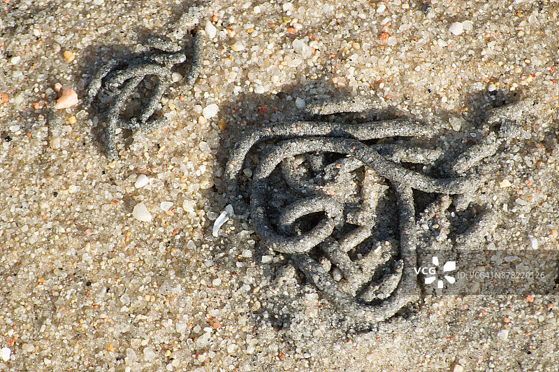 沙虫排泄物图片素材