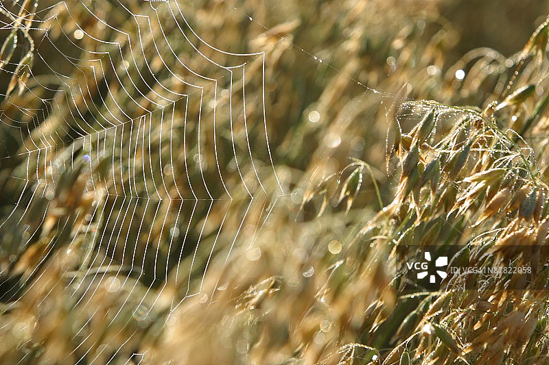 24071952图片素材